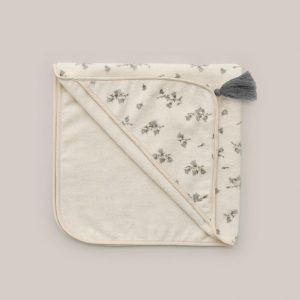 Cape de Bain Bluebell