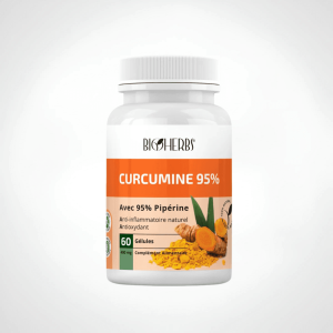 BIOHERBS CURCUMINE 95% 60 GELULES