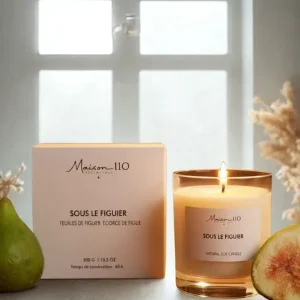 Bougie végétale sous le figuier