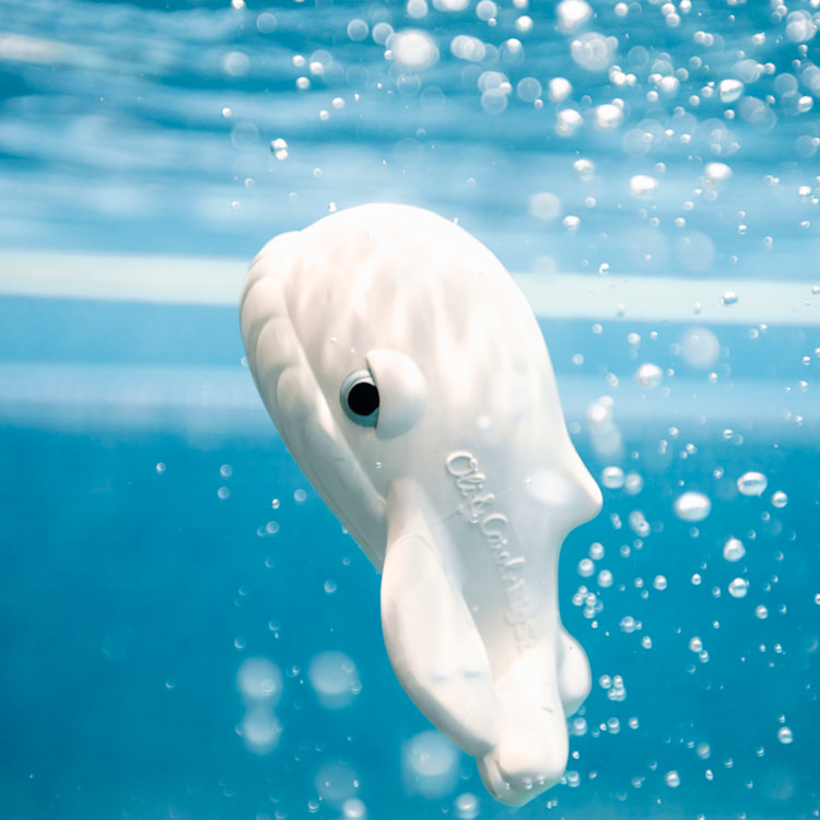 Walter, la baleine – jouet pour le bain – Image 5