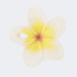 Hawaii, la fleur à machouiller!